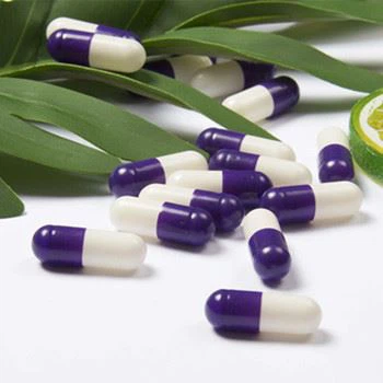 단단한 빈 캡슐